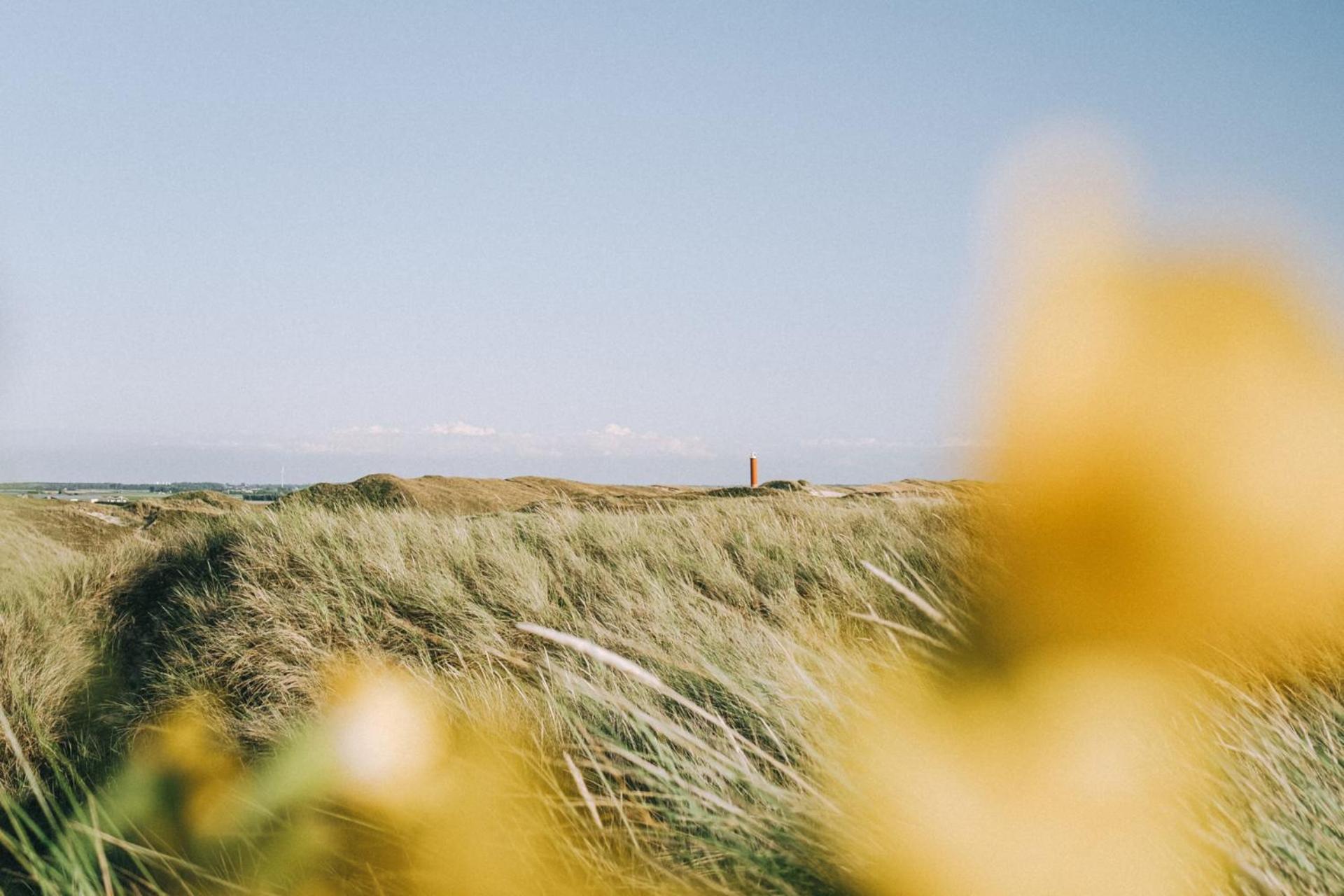 Vakantiehuis Zilt - Julianadorp Aan Zee Bagian luar foto