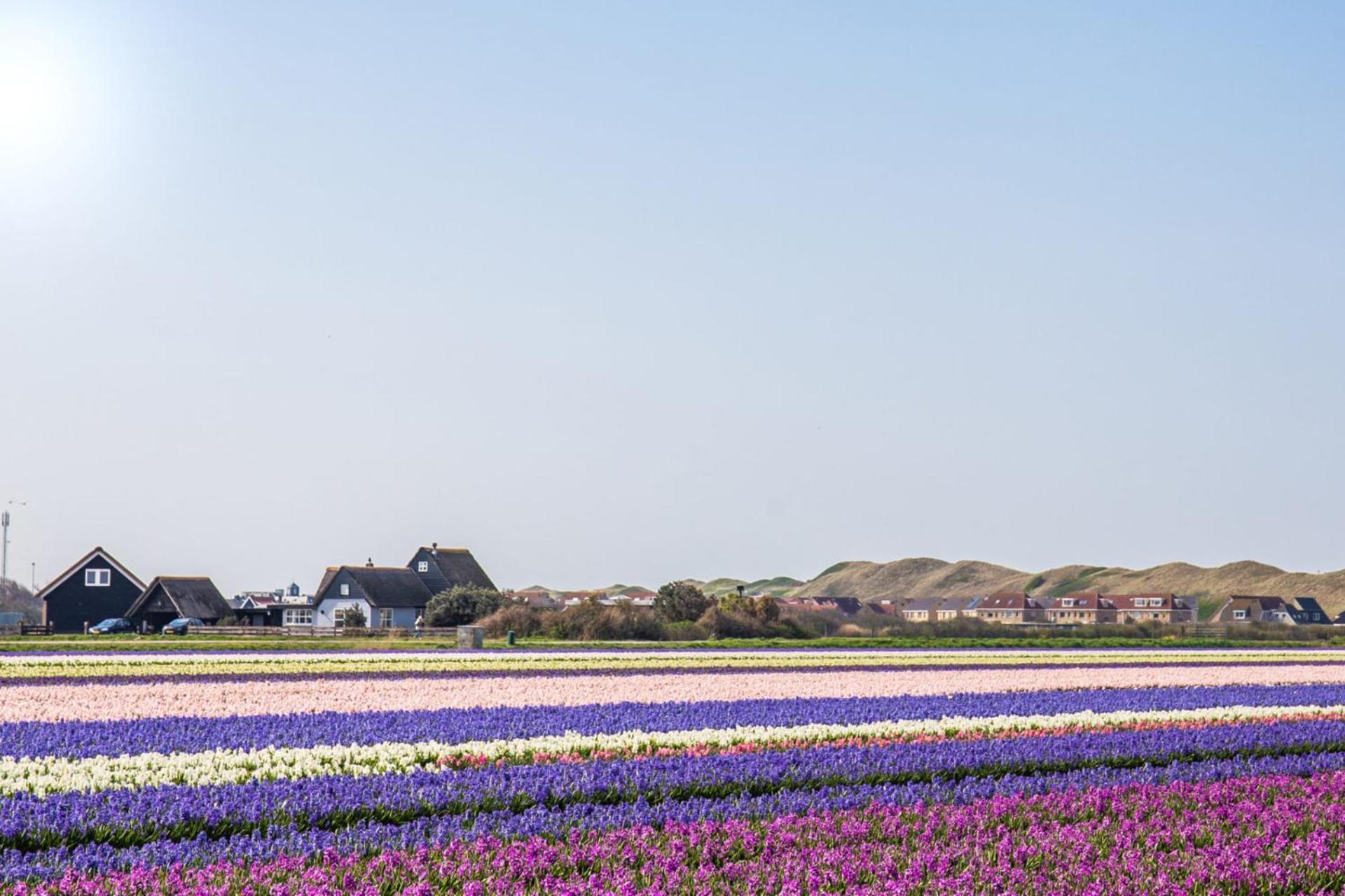 Vakantiehuis Zilt - Julianadorp Aan Zee Bagian luar foto